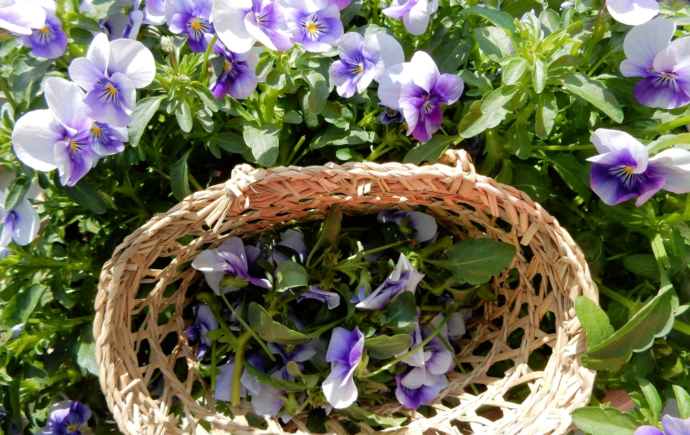 花がらを摘む